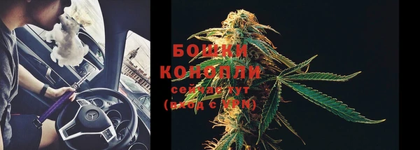 индика Михайлов