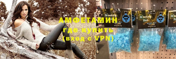 индика Михайлов