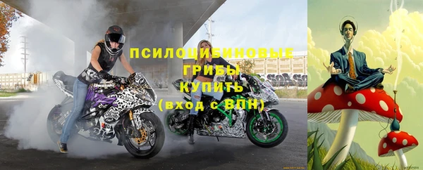 сатива Михайловка