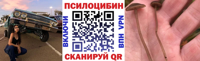 Галлюциногенные грибы ЛСД  дарк нет наркотические препараты  Остров 